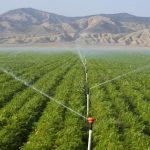 Amateur Metal Detectorist Discovers Bronze Age Jewelry Amateur Metal Detectorist Discovers Bronze Age Jewelry