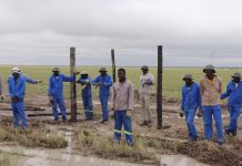 Environment minister tours Etosha fence works, park resorts Environment minister tours Etosha fence works, park resorts