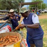 Ovambanderu garden blooms Ovambanderu garden blooms