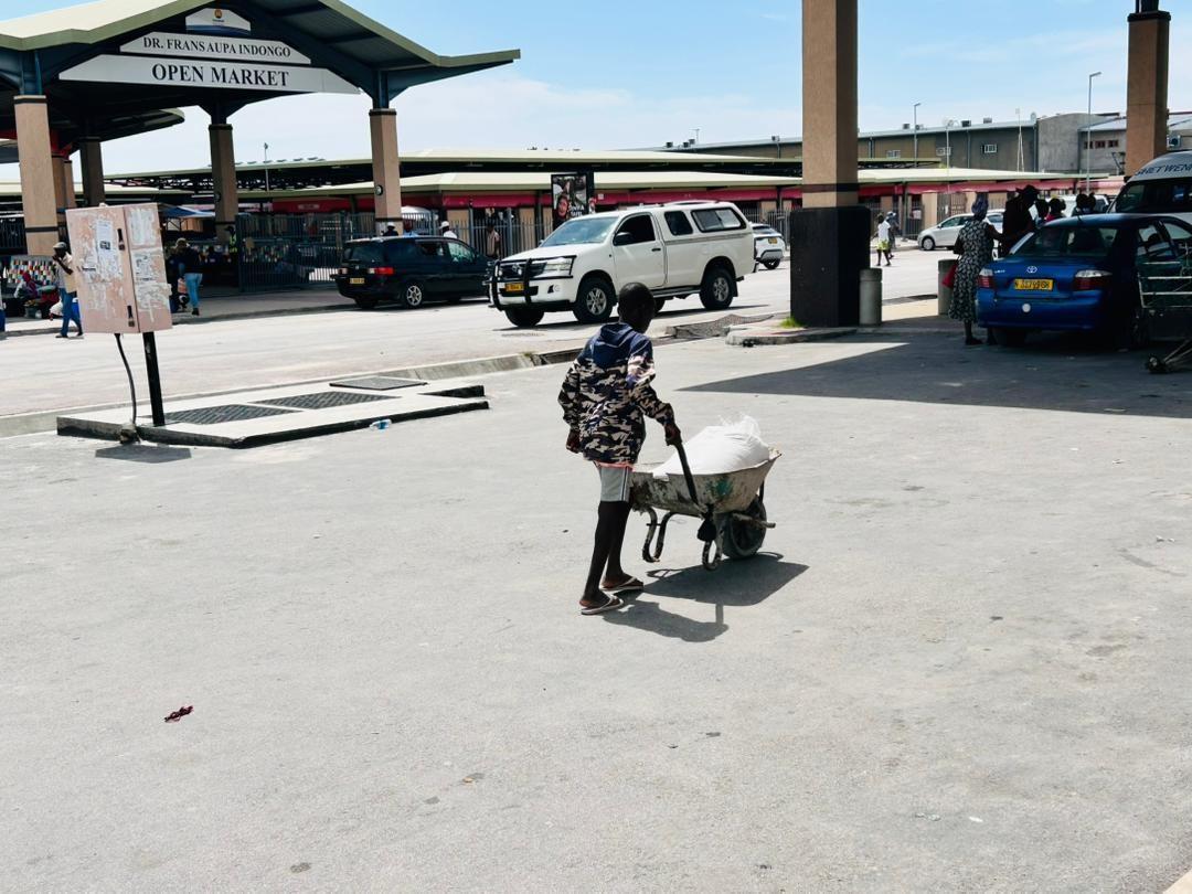 Teachers worry over learners skipping school for child labour Teachers worry over learners skipping school for child labour