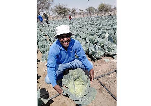 From garden to store …village farmer feeds towns From garden to store …village farmer feeds towns