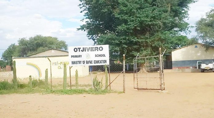 Normal lessons resume at Otjivero school …after wasp invasion defeated Normal lessons resume at Otjivero school …after wasp invasion defeated