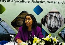 Zaamwani Urges Ministry Staff to Address Bureaucratic Delays Zaamwani Urges Ministry Staff to Address Bureaucratic Delays