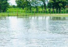 Northern regions expect more rain Northern regions expect more rain