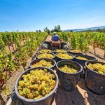 Nam-SA Orange River conflict spills over Nam-SA Orange River conflict spills over