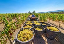 Nam-SA Orange River conflict spills over Nam-SA Orange River conflict spills over