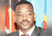 Visa on arrival generates N$413m in one year Visa on arrival generates N$413m in one year