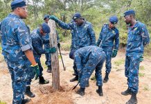 Okongo’s Illegal Fences Are Falling Okongo's Illegal Fences Are Falling