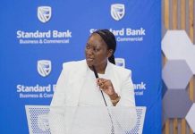 SB doubles down on renewable energy … commits N$450b SB doubles down on renewable energy … commits N$450b