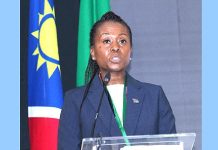 Namibia, Congo move beyond trade rhetoric Namibia, Congo move beyond trade rhetoric