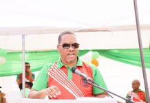 Swartbooi proposes skills export Swartbooi proposes skills export