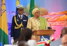 Namibia Celebrates Independence Day and Global Solidarity Namibia Celebrates Independence Day and Global Solidarity