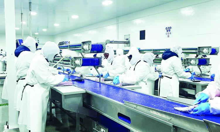 Fish Quota Auctions Fuel Job Insecurity for Workers Fish Quota Auctions Fuel Job Insecurity for Workers