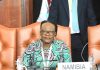 Namibia Doubles Down on Economic Diplomacy Funding Namibia Doubles Down on Economic Diplomacy Funding