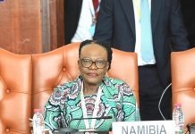 Namibia Doubles Down on Economic Diplomacy Funding Namibia Doubles Down on Economic Diplomacy Funding