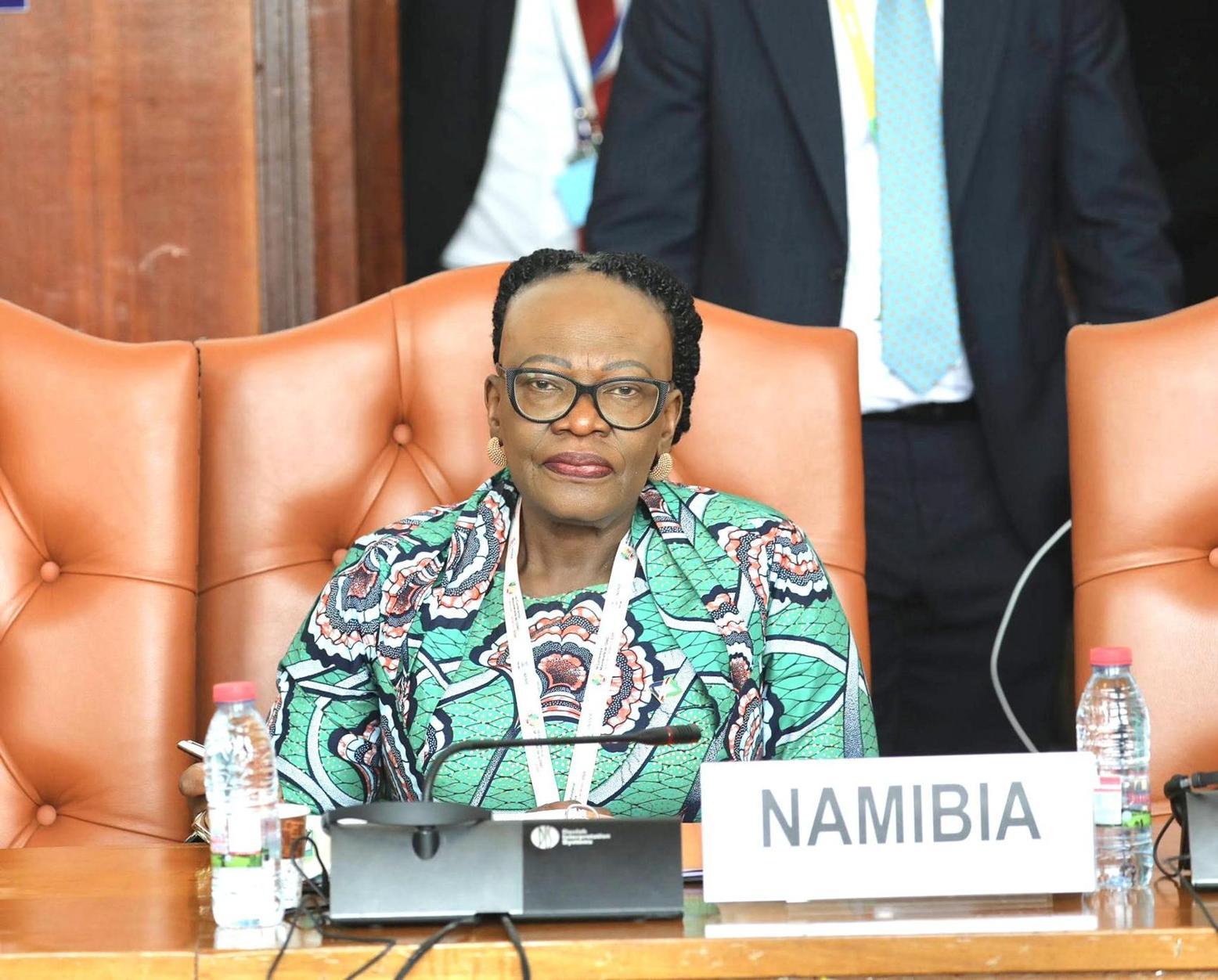 Namibia Doubles Down on Economic Diplomacy Funding Namibia Doubles Down on Economic Diplomacy Funding