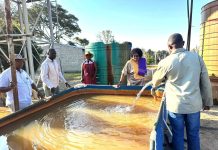 Rural Dignity Delivered Rural Dignity Delivered