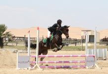 Woodcutter Becomes Showjumping Champion Woodcutter Becomes Showjumping Champion