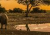 National Parks Generate N$183 Million in Fees National Parks Generate N$183 Million in Fees