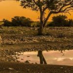 National Parks Generate N$183 Million in Fees National Parks Generate N$183 Million in Fees