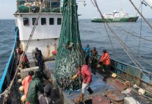 Fishermen Demand Jobs After Years of Unemployment Fishermen Demand Jobs After Years of Unemployment