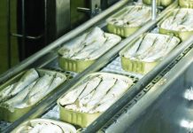 Fishing Company Invests N$4M in Canning Equipment Fishing Company Invests N$4M in Canning Equipment