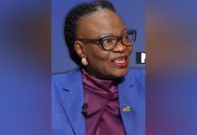 Namibia Welcomes China’s Zero-Tariff Move Namibia Welcomes China's Zero-Tariff Move