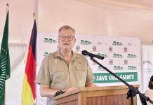 Germany Invests N$32 Billion in Namibia Since Independence Germany Invests N$32 Billion in Namibia Since Independence