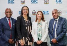 Namibia EU Forum Targets N$390 Billion for Green Future Namibia EU Forum Targets N$390 Billion for Green Future