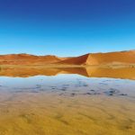 When Rains Transform the Namib Desert When Rains Transform the Namib Desert