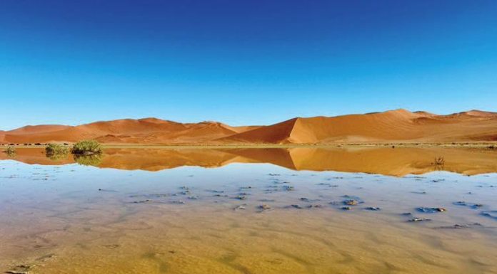 When Rains Transform the Namib Desert When Rains Transform the Namib Desert