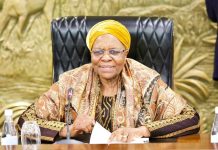 Two Sonas One Year Later Two Sonas One Year Later