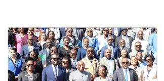 Nipam host Africa governance leaders Nipam host Africa governance leaders