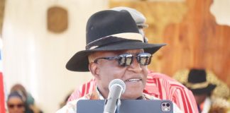 Ngurare trumpets Africa’s economic independence Ngurare trumpets Africa’s economic independence