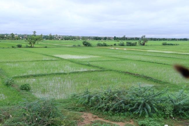 Impacts des inondations sur la riziculture : 3742 hectares inondés pour quelque 1.827.000.000 francs CFA d’investissements perdus (Producteur) Impacts des inondations sur la riziculture : 3742 hectares inondés pour quelque 1.827.000.000 francs CFA d’investissements perdus (Producteur)