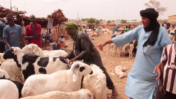 Célébration de la fête de Tabaski à Tahoua : Les commerçants satisfaits des retombées économiques Célébration de la fête de Tabaski à Tahoua : Les commerçants satisfaits des retombées économiques