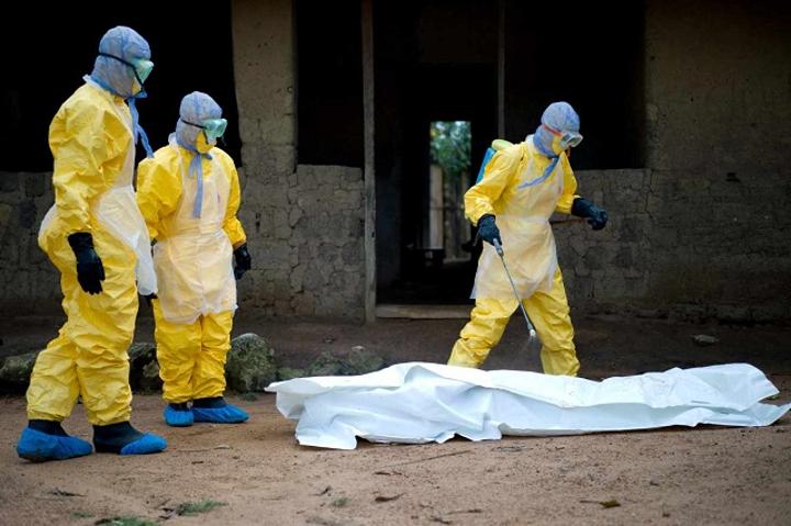 Découverte du virus Marburg en Guinée : Une interrogation qui vient s'ajouter à la pandémie du COVID-19 Découverte du virus Marburg en Guinée : Une interrogation qui vient s'ajouter à la pandémie du COVID-19