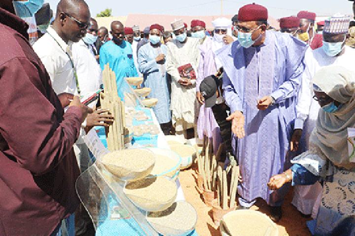 Le Président de la République à la clôture de la 2ème édition de la Semaine du Paysan, à Margou Béné (Birni N’Gaouré) : Le Chef de l’Etat prend des engagements forts en faveur de l’accompagnement des paysans Le Président de la République à la clôture de la 2ème édition de la Semaine du Paysan, à Margou Béné (Birni N’Gaouré) : Le Chef de l’Etat prend des engagements forts en faveur de l’accompagnement des paysans