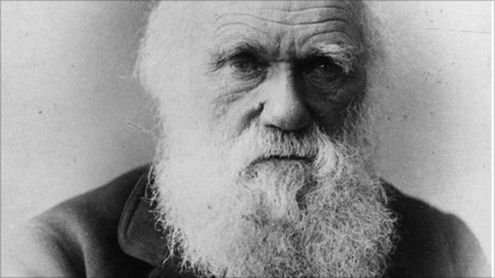 Théorie de l'évolution de Darwin: 'L'origine des espèces' de reste l'un des livres scientifiques les plus importants de l'histoire. Théorie de l'évolution de Darwin: 'L'origine des espèces' de reste l'un des livres scientifiques les plus importants de l'histoire.