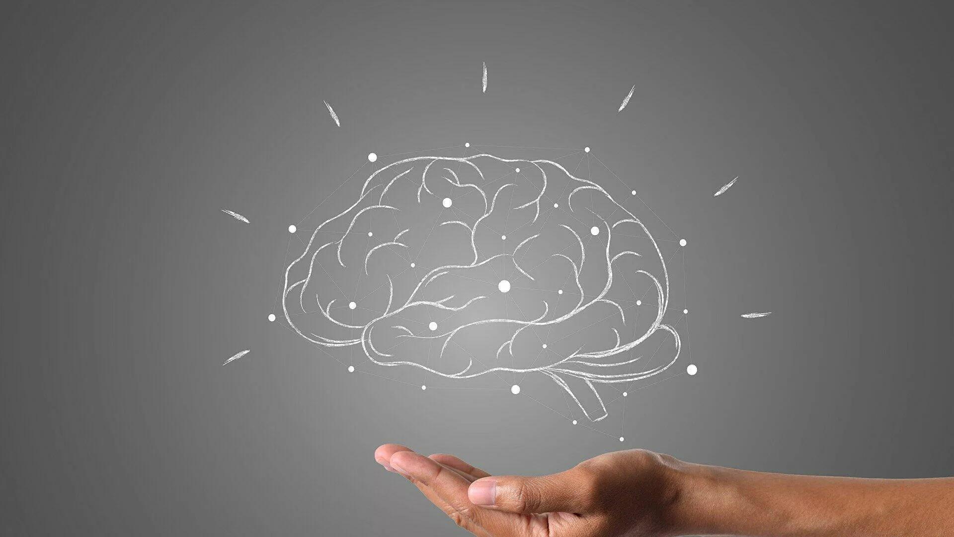 Un esprit collectif est-il derrière la diminution du volume du cerveau humain?