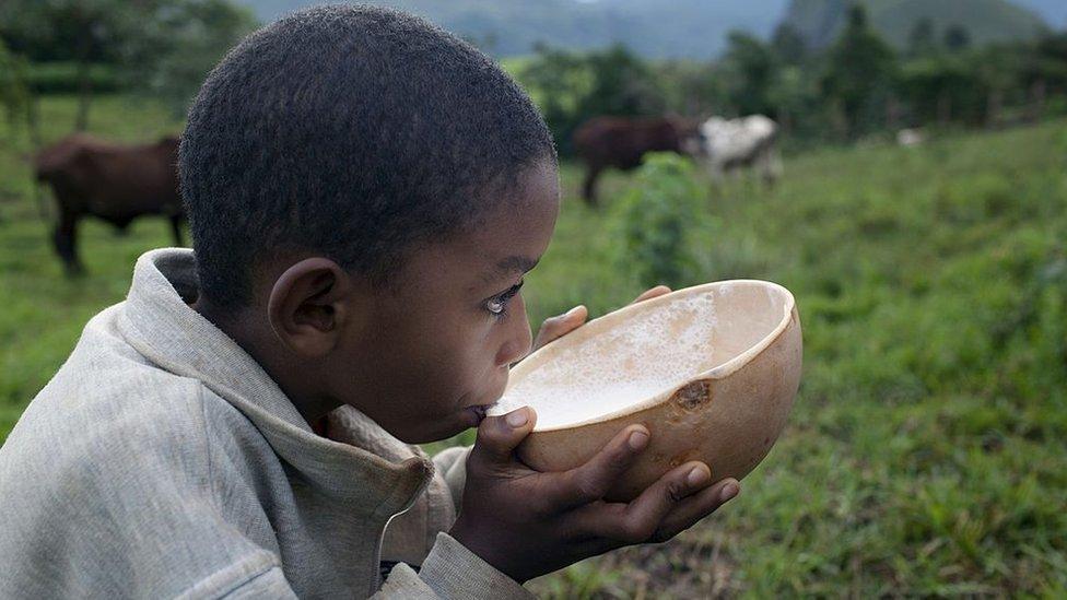 Nutrition : est-il préférable de boire du lait de vache ou une alternative sans produits laitiers ? Nutrition : est-il préférable de boire du lait de vache ou une alternative sans produits laitiers ?
