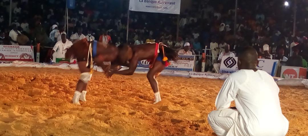 Lutte Traditionnelle : Niamey Prend La Tête En Nombre De Lutteurs ...