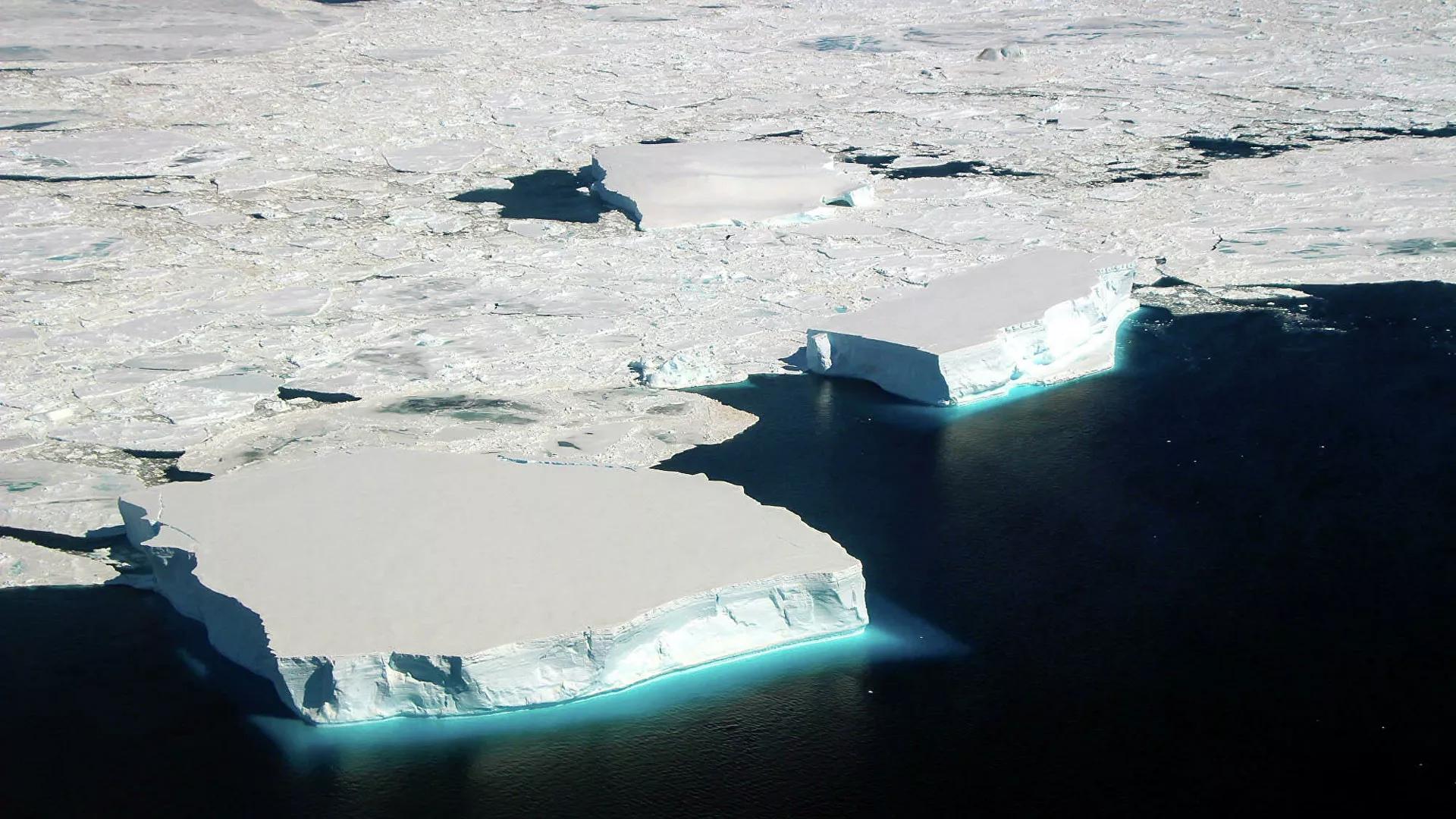 La plus grande colonie de reproduction de poissons des glaces découverte en Antarctique