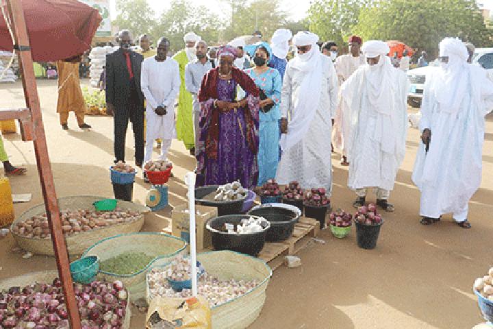 Foire des produits maraîchers de la région d’Agadez à Niamey : Les députés membres de la Commission du développement rural et de l’environnement sur le site pour encourager les producteurs Foire des produits maraîchers de la région d’Agadez à Niamey : Les députés membres de la Commission du développement rural et de l’environnement sur le site pour encourager les producteurs