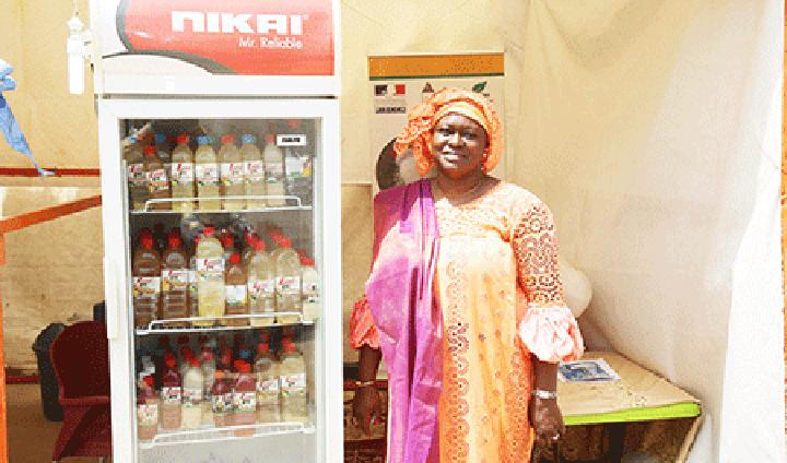 SAHEL-Niger 2022 : Le Haut Commissariat à l’initiative 3N porte 47 stands des produits certifiés et 13 entreprises dotées d’équipements SAHEL-Niger 2022 : Le Haut Commissariat à l’initiative 3N porte 47 stands des produits certifiés et 13 entreprises dotées d’équipements