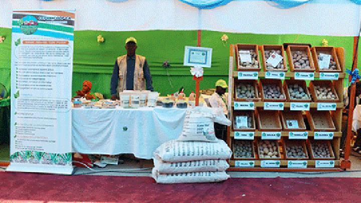 Confédération Coopérative Paysanne Horticole Niger (CCPHN) : Promouvoir les spéculations à haute valeur ajoutée pour accroître les revenus des producteurs Confédération Coopérative Paysanne Horticole Niger (CCPHN) : Promouvoir les spéculations à haute valeur ajoutée pour accroître les revenus des producteurs