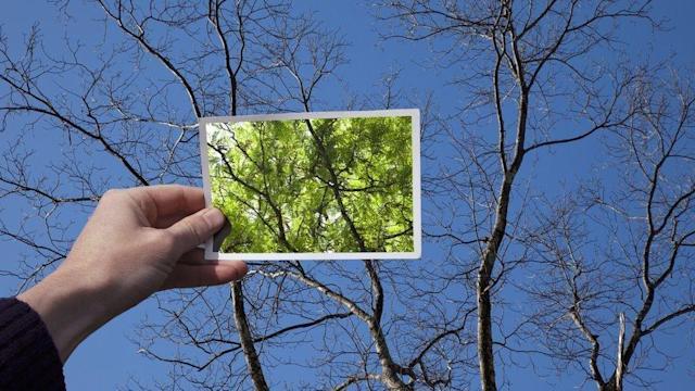 Psychologie : sept façons de s'entraîner à l'optimisme et de se sentir mieux Psychologie : sept façons de s'entraîner à l'optimisme et de se sentir mieux