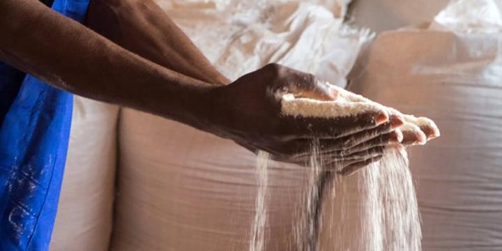 Guerre d’Ukraine – pénurie de blé : et si l’Afrique misait sur ses farines locales ? Guerre d’Ukraine – pénurie de blé : et si l’Afrique misait sur ses farines locales ?