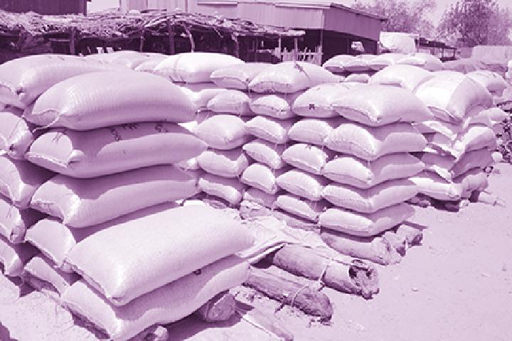 Situation des prix sur les marchés agricoles : Constance des prix des produits céréaliers Situation des prix sur les marchés agricoles : Constance des prix des produits céréaliers