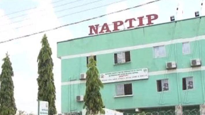 NAPTIP rescues 65 victims of human trafficking in Niger Republic NAPTIP rescues 65 victims of human trafficking in Niger Republic